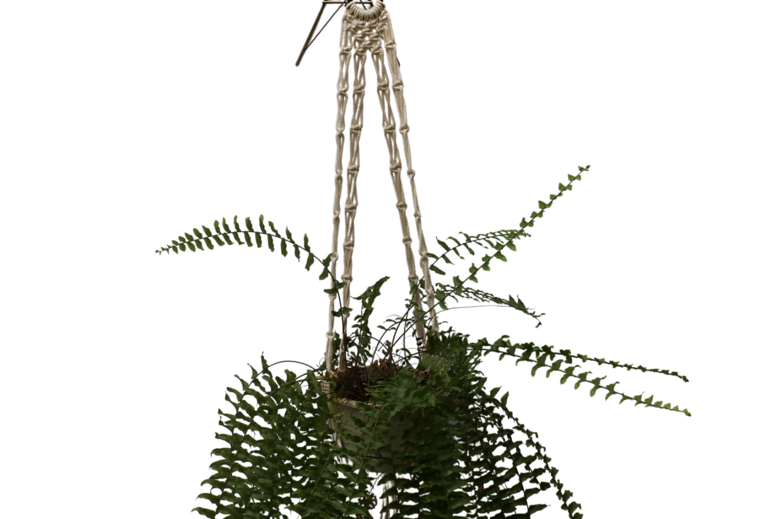 95869a_4983b428a0ca4056b39fa0ca6cef6c87mv2