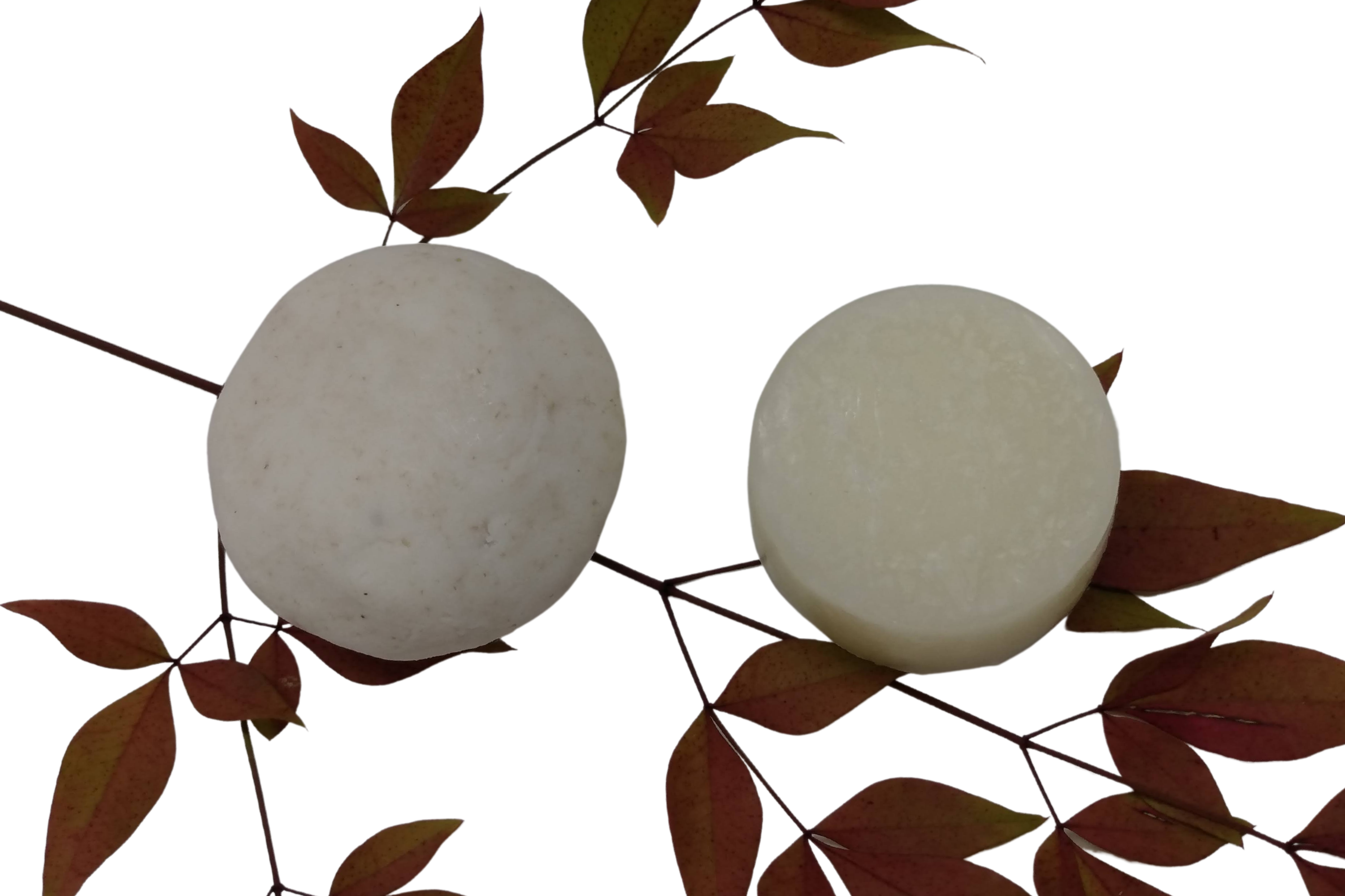 95869a_98362ef352b54a8b8b90c4a78037985bmv2