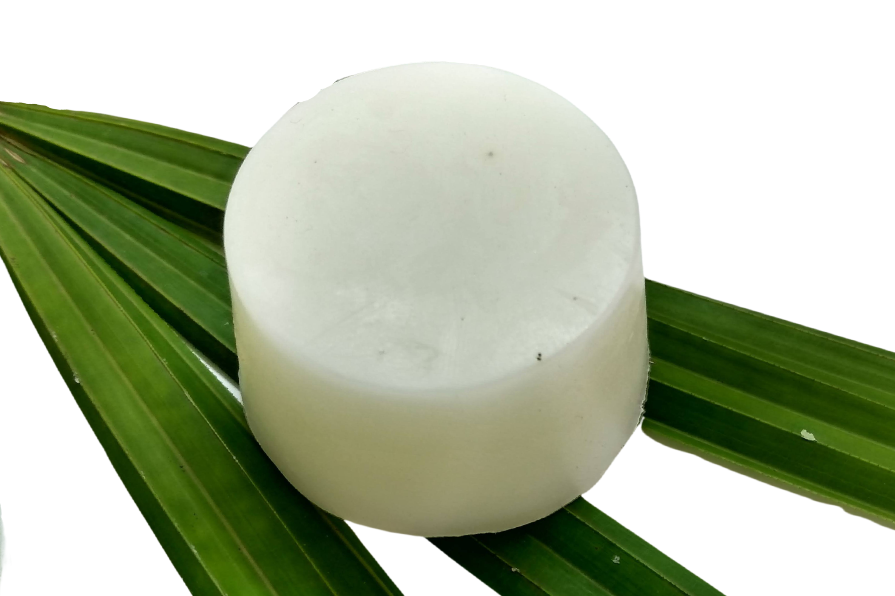 95869a_c47cc17fb95b4e57907c44c5a81c9ed7mv2