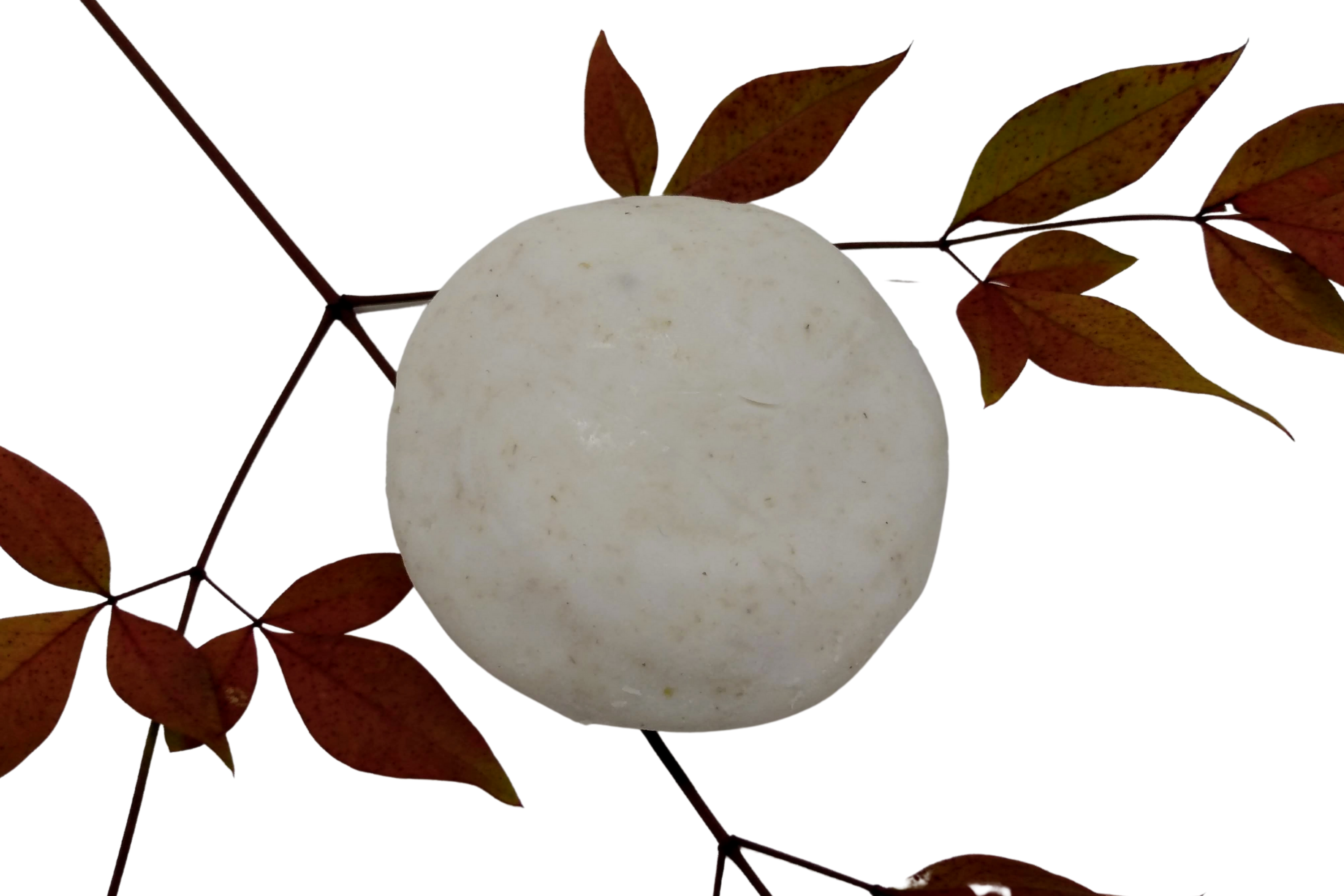 95869a_d8bed5cbf7e44a2abc0fcbaf6c60df90mv2